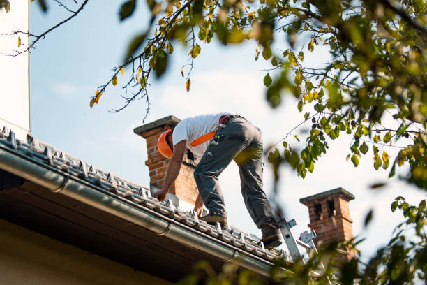 Best Slate Roofing Contractor  in Lexington, MS