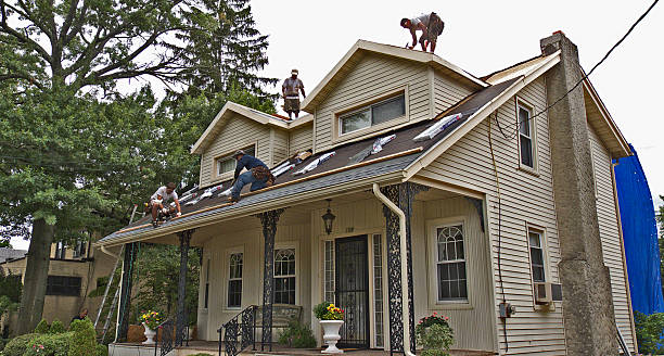 Best Affordable Roof Replacement  in Lexington, MS